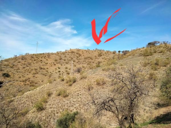 Terreno en Lagar De Padilla s/n