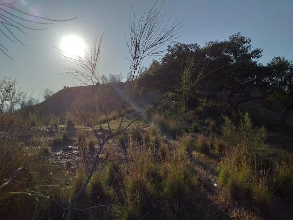 Terreno en Lagar De Padilla s/n