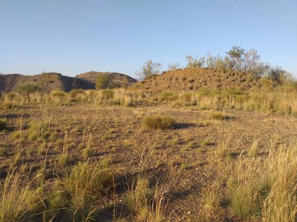 Terreno en Lagar De Padilla s/n