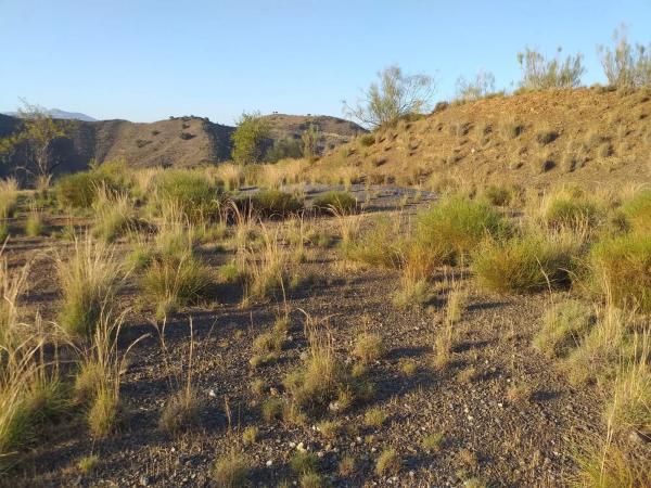 Terreno en Lagar De Padilla s/n