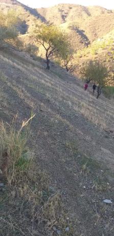 Terreno en Lagar De Padilla s/n