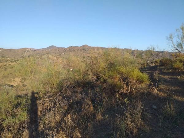 Terreno en Lagar De Padilla s/n