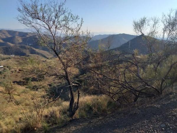 Terreno en Lagar De Padilla s/n