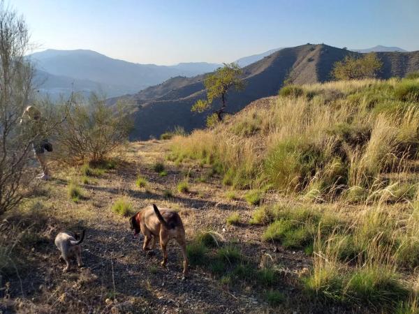 Terreno en Lagar De Padilla s/n