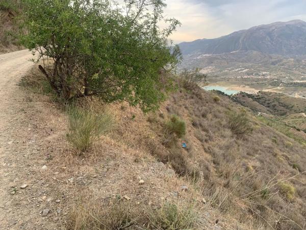 Terreno en vereda de Vélez