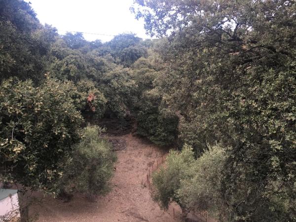 Terreno en calle Cruces s/n Sinnmero