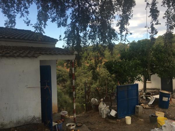 Terreno en calle Cruces s/n Sinnmero