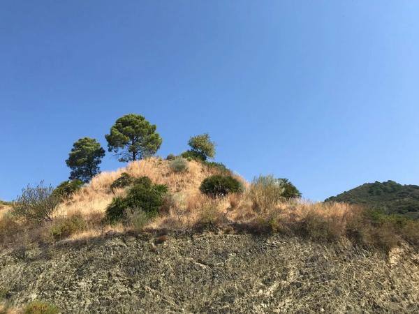 Terreno en alto High Urbanizacion Monte Mayor s/n