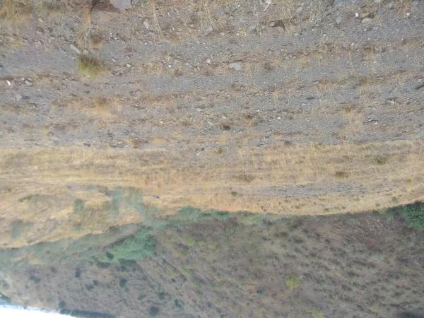 Terreno en carretera Ma-3119 s/n