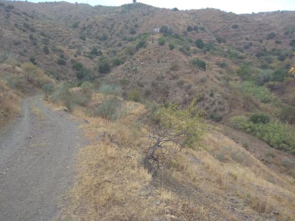 Terreno en carretera Ma-3119 s/n