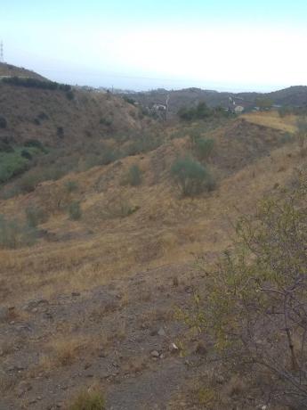 Terreno en carretera Ma-3119 s/n