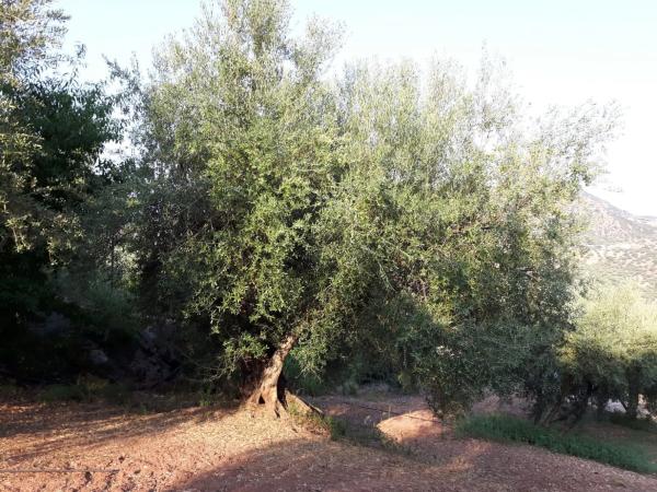 Terreno en Becerril, km 2