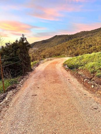 Terreno en Crta. Manilva-Gaucín A-377 Km 26 s/n