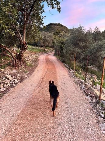 Terreno en Crta. Manilva-Gaucín A-377 Km 26 s/n