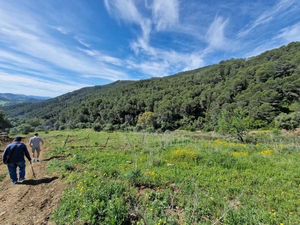 Terreno en Crta. Manilva-Gaucín A-377 Km 26 s/n