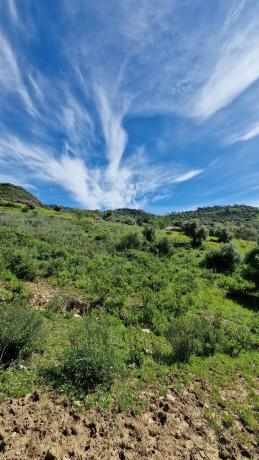 Terreno en Crta. Manilva-Gaucín A-377 Km 26 s/n