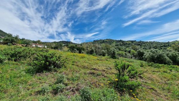 Terreno en Crta. Manilva-Gaucín A-377 Km 26 s/n