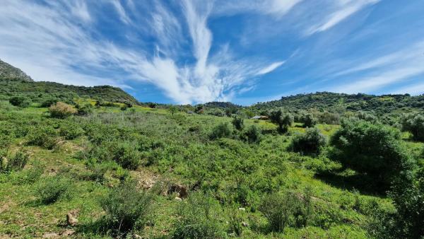 Terreno en Crta. Manilva-Gaucín A-377 Km 26 s/n