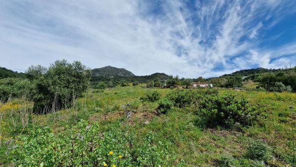 Terreno en Crta. Manilva-Gaucín A-377 Km 26 s/n