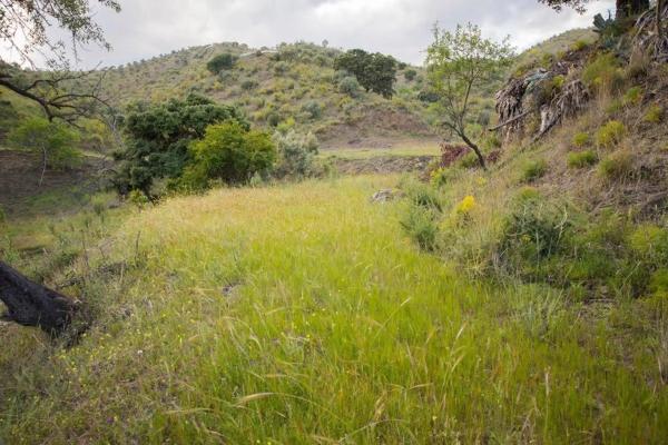 Terreno en Playa del Rincón