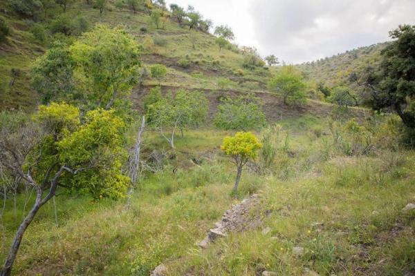 Terreno en Playa del Rincón