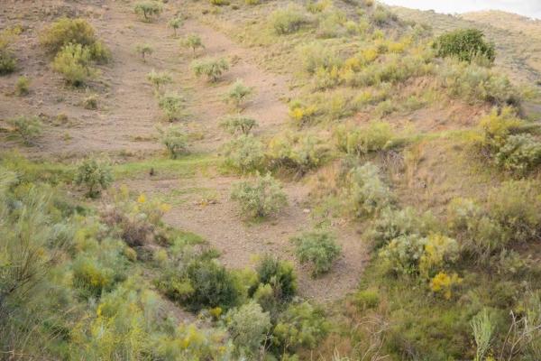 Terreno en Playa del Rincón