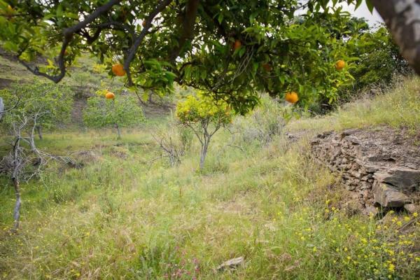 Terreno en Playa del Rincón