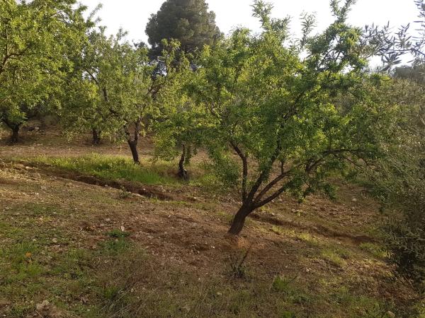 Terreno en carretera Ma-5402, km 4