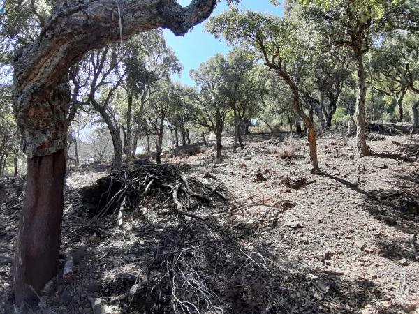 Terreno en carretera Ma-8301, km 1