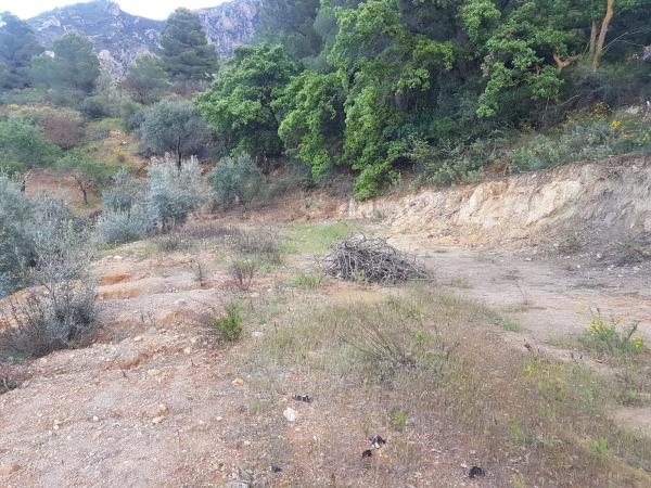 Terreno en carretera Ma-5402, km 4