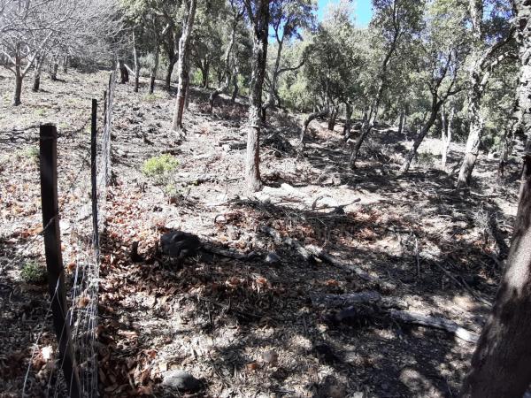 Terreno en carretera Ma-8301, km 1