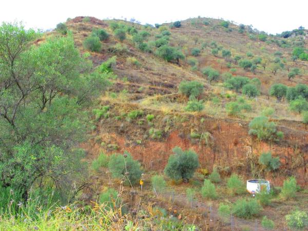 Terreno en carretera del Río, km 3