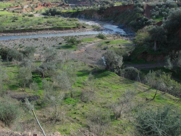 Terreno en carretera del Río, km 3
