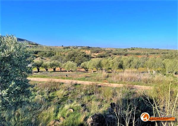 Terreno en Urbanización Antequera Golf