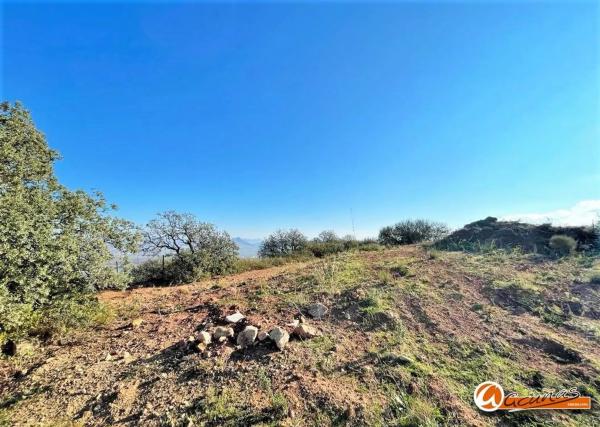 Terreno en Urbanización Antequera Golf