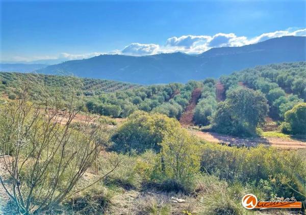 Terreno en Urbanización Antequera Golf