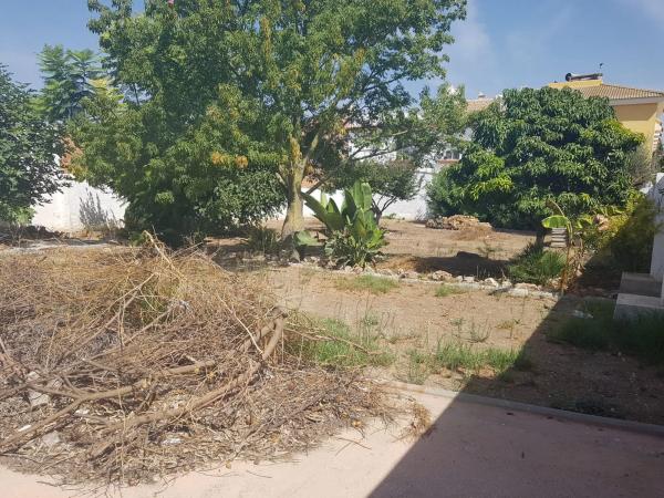 Terreno en calle Decano Salvador Barroso, 6