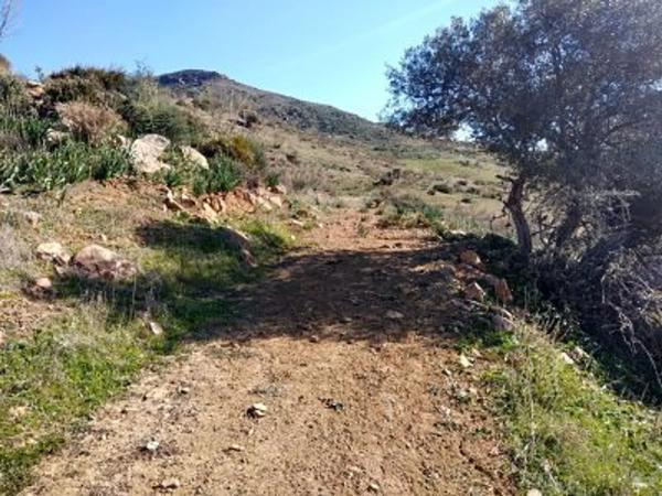 Terreno en Paraje Las Lomas en Cortijo Mediano, km 5