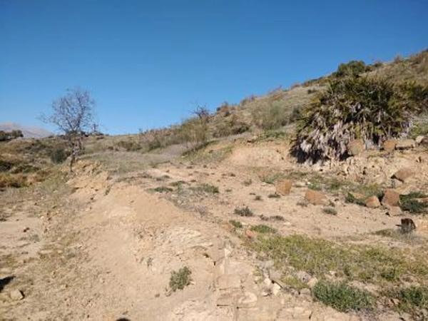 Terreno en Paraje Las Lomas en Cortijo Mediano, km 5