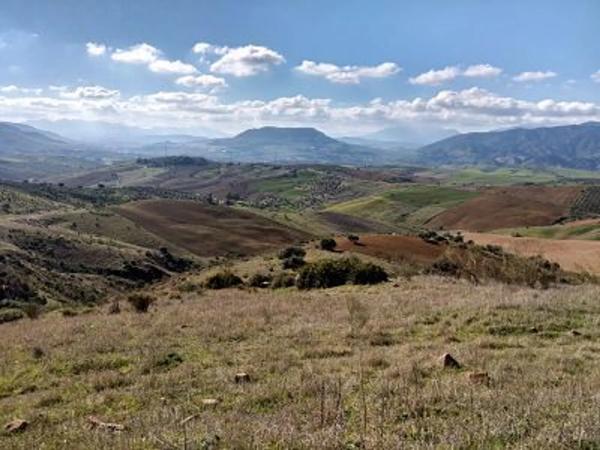 Terreno en Paraje Las Lomas en Cortijo Mediano, km 5