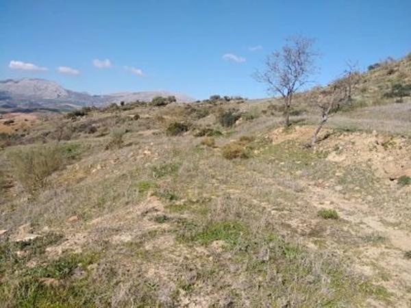 Terreno en Paraje Las Lomas en Cortijo Mediano, km 5