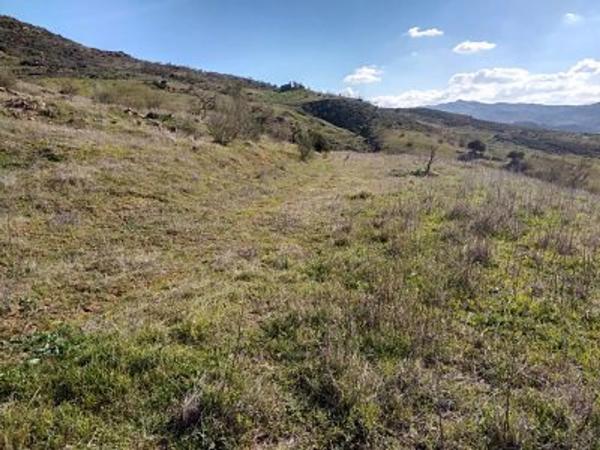 Terreno en Paraje Las Lomas en Cortijo Mediano, km 5