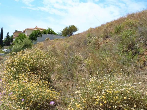 Terreno en calle Uruguay, 82