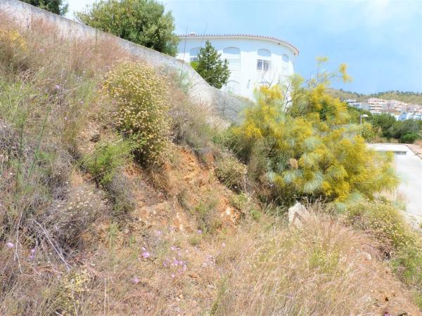 Terreno en calle Uruguay, 82