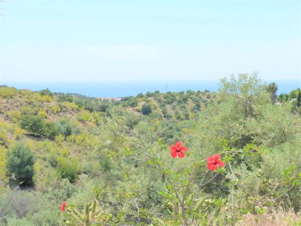 Terreno en calle Uruguay, 82