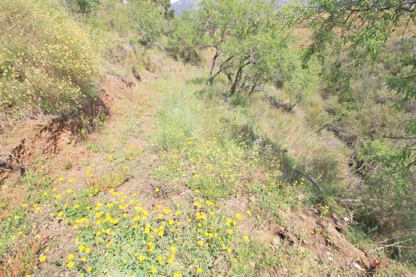 Terreno en Valtocado - La Alquería - La Atalaya
