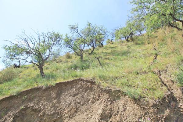 Terreno en Valtocado - La Alquería - La Atalaya