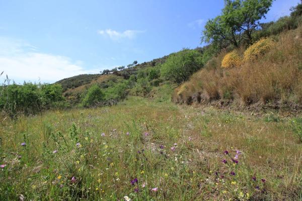 Terreno en Valtocado - La Alquería - La Atalaya