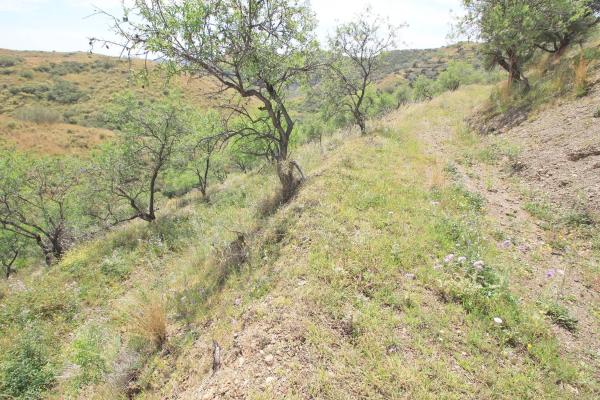 Terreno en Valtocado - La Alquería - La Atalaya