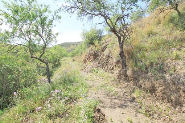 Terreno en Valtocado - La Alquería - La Atalaya